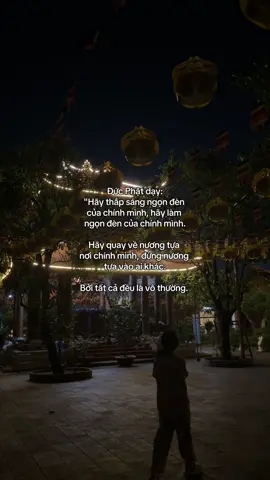 Nam Mô A Di Đà Phật 🙏🏻🙏🏻🙏🏻 #phapphucdichua #phatphapnhiemmau #viral #ngoclan #phatphap 