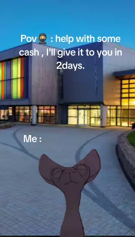 #Meme #MemeCut #CapCut#creatorsearchinsights #fyp 