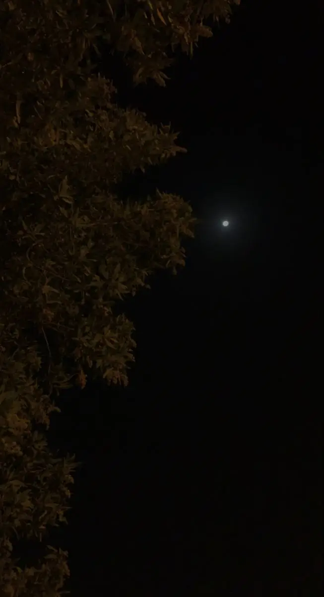 #وبقلبى_تعالى_نامى🤍  #تيك_توك #اكسبلورexplore❥🕊 