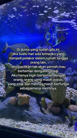 🙅‍♀️🙅‍♀️🙅‍♀️