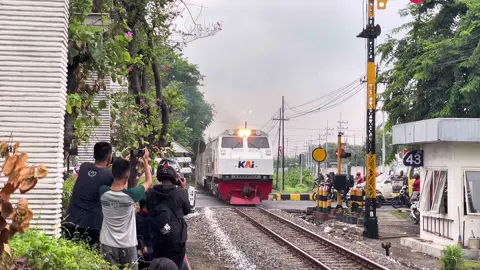 Cumi cumi  #lokomotifkobong #203 #keretaapiindonesia #fyp #kereta #kobong #fypシ゚ 