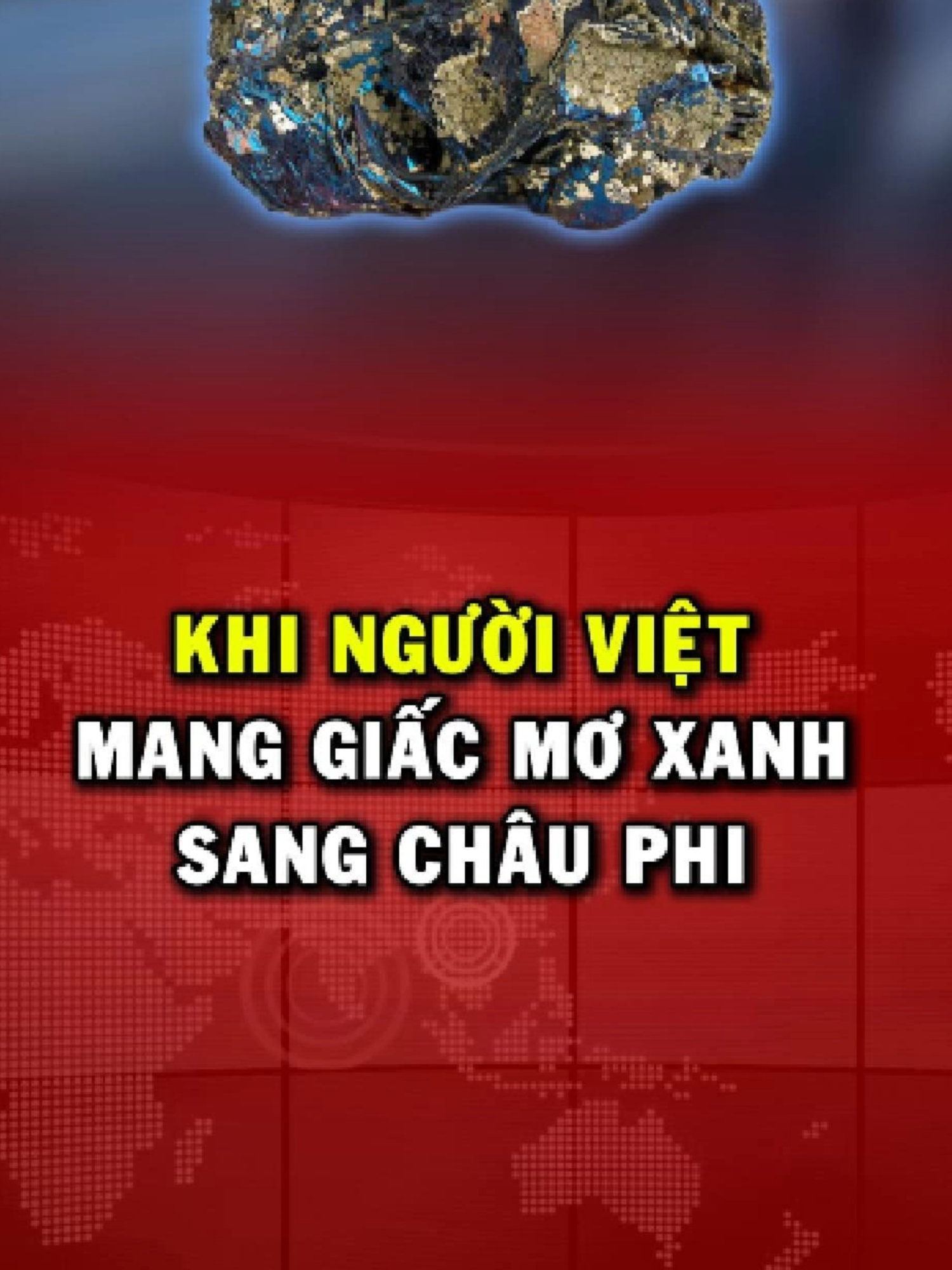 VinGroup không mang cây đi trồng, mà họ gieo 