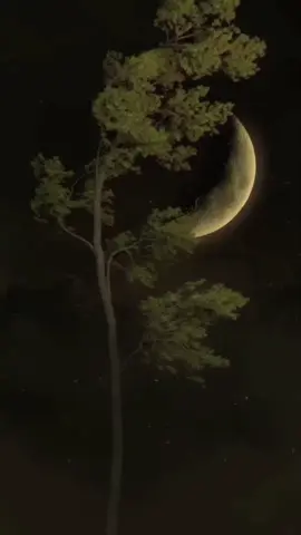 #CapCut#selamatmalam#selamatberistirahat#doamalam#syukuralhamdulillah 