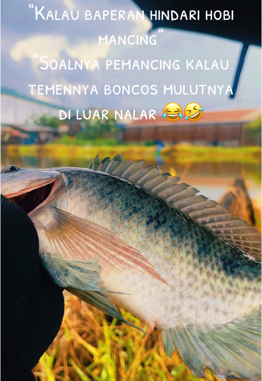 Bukan begitu ketua 😁 #mancing #hobimancing #fishingtiktoks #mancingcore #infomancing #joranmelengkung 