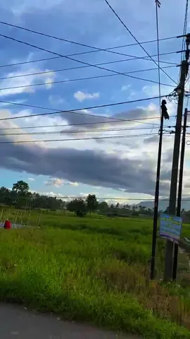 🤩🤩#rxkingindonesia #rxstylepakguru#rxking135cc #fyppppppppppppppppppppppp 