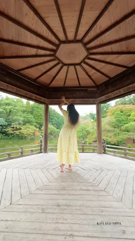 ස්වේත සදේ රෑට නුඹේ පාලූ මකාලා... 🤍🩵❤️ 💃 🤍💛🌝#Kaviandnippa #Kavi #foryoupage #fyp #viraltiktokvideos 