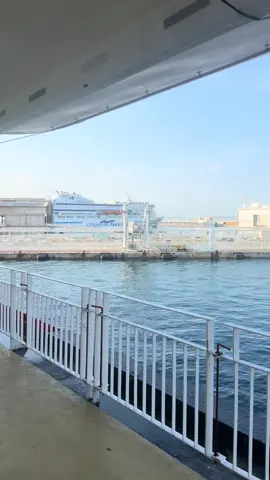 #lyon #Algérie #tiktok #Barika 