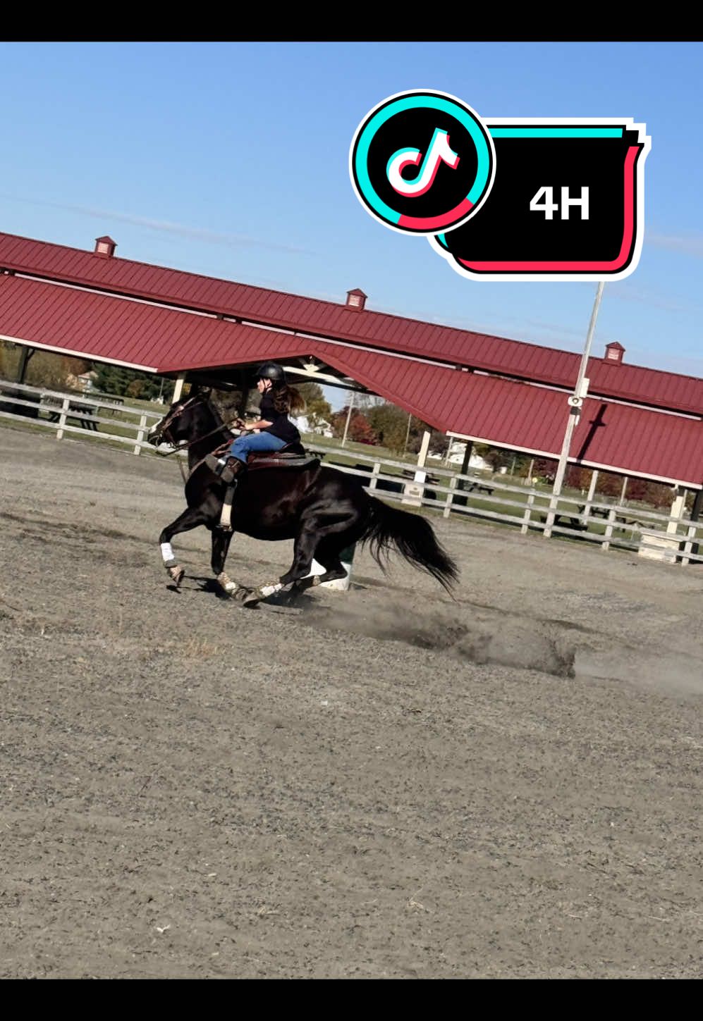 #fyp #horse #equestrian #weekend #blog 