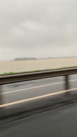 Lên cho ace mình 1 đám mưa mà nghỉ làm luôn nha #lulutmientrung #quangnam92 #xuhuonhtiktok #flowcheo #muabaomientrung 