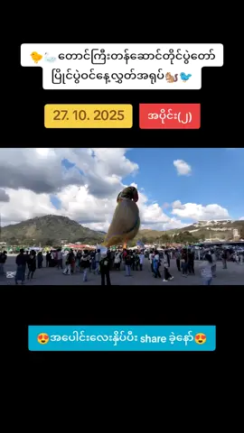 🐭🐦တောင်ကြီးတန်ဆောင်တိုင်နေ့လွှတ်အရုပ်🦢🐤 #တောင်ကြီးတန်ဆောင်တိုင်ပွဲတော် #နေ့လွှတ်အရုပ်ပြိုင်ပွဲ #တောင်ကြီး  #foryou #fypシ゚viral @NAY WANA @NAY WANA @NAY WANA 