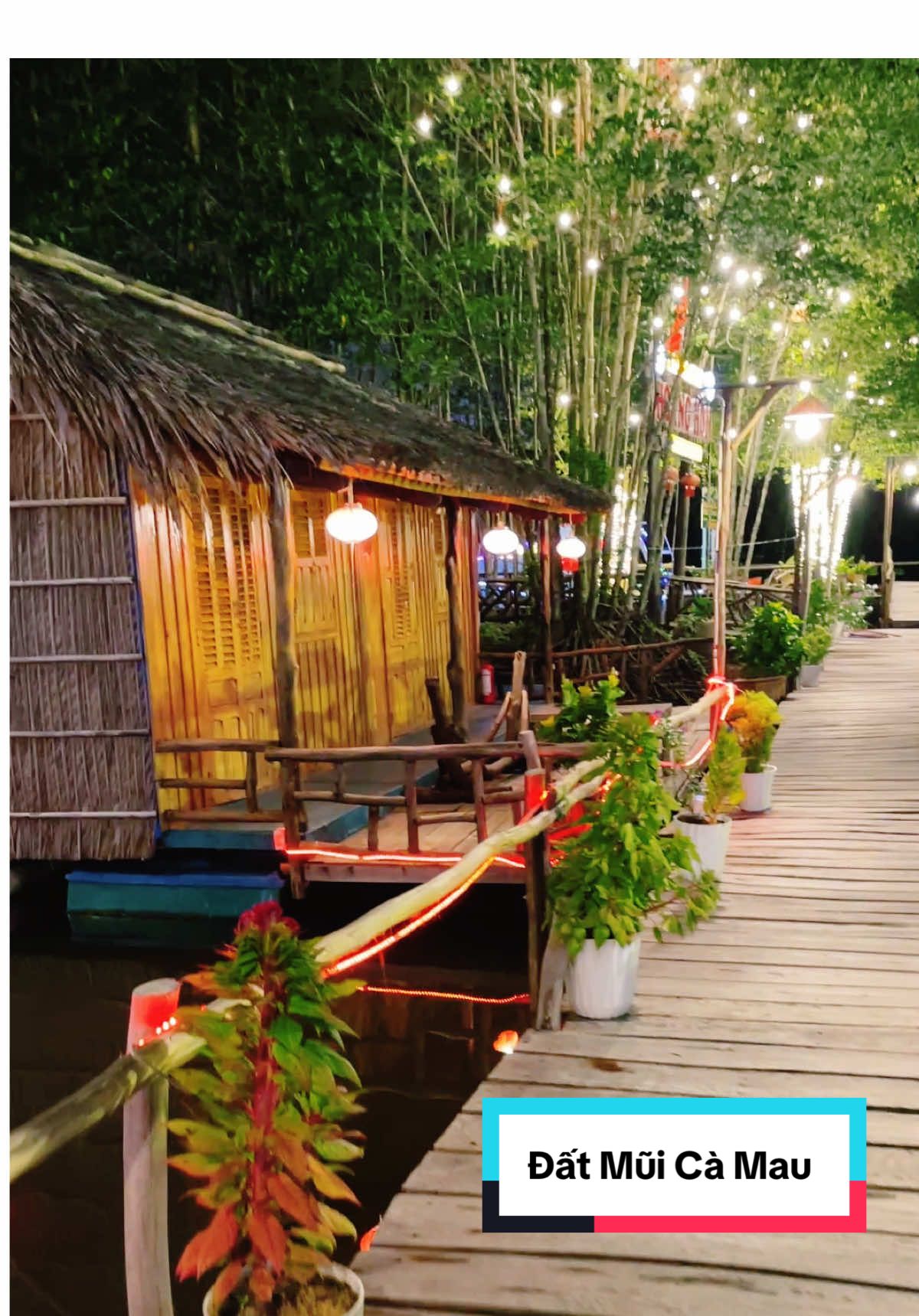 🎶 Hai tiếng gọi Cà Mau nghe xuyến xao  …  #camau #datmuicamau #dulich #xuhuong #nguyenphuongthao_ntpt 