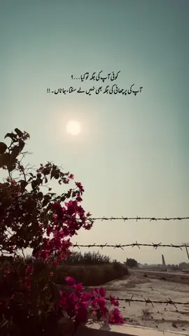 Aurr naa hi myn deny wala hun 🙂🙌🏻❤️ || Janahh.. . . . . . . . . . . #foryou #aesthetic #lovepoetry #fyp #poetry 