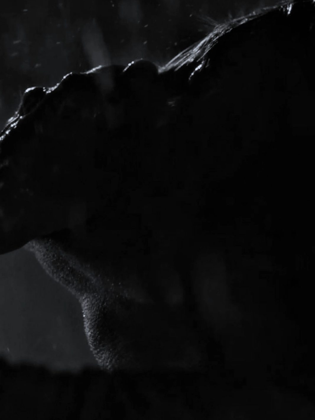 MIZUMONO  #hannibal #foryou #fyp #viral #edit 