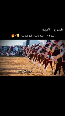 #منصة_فرسان_الخوت🔥 