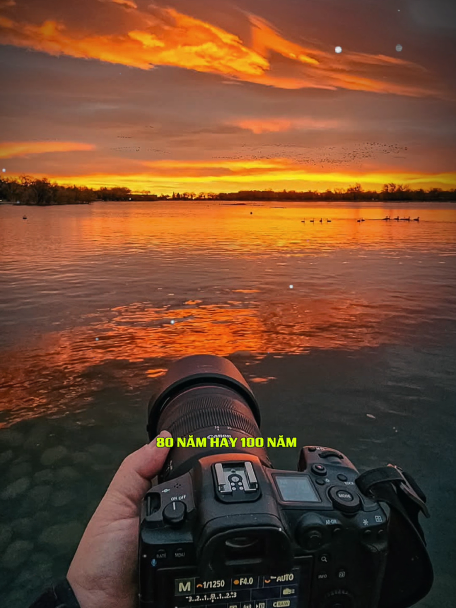 Em Ơi...Em Ơi:#capcut #capcutpioneer #pioneertemplate #trend #ngochuy1402 