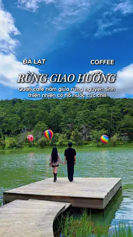 Phát hiện 1 quán cafe siu đẹp khung cảnh như hoà mình vào thiên nhiên mấy mom ơi 😳 #xuhuong #dicungbaoo #reviewcafe #dalat #dulichdalat 