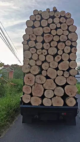 mingklik-mingklik🤩#CapCut#l300 #cumidarat #sengonbalap #fyppppppppppppppppppppppp 