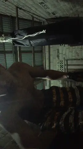 🥊