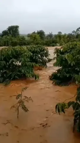 gập hết rồi  cố lên 47 ơi