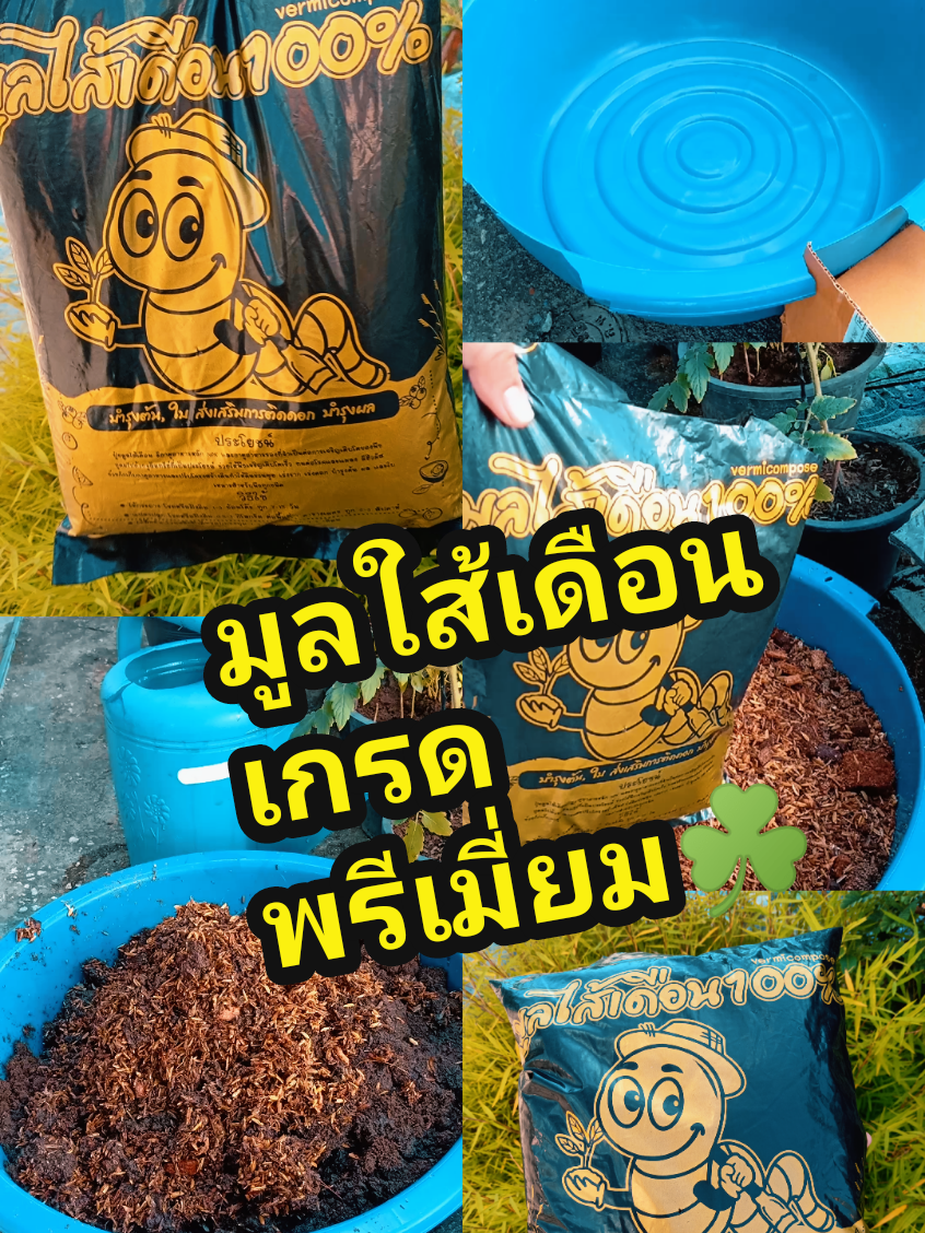 #มูลใส้เดือน #มูลใส้เดือนเกรดพรีเมี่ยม #มูลใส้เดือนแท้100 #มูลใส้ 