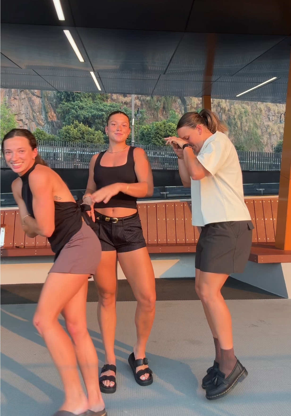 your favourite trio waiting for the city cat  #goldenhour #meow #fyp @boltzpoppy @Ellie Hampson 