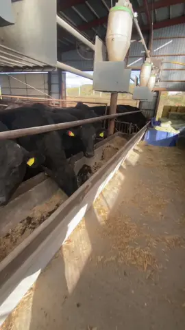 Đụng tới bé Nhi cái vi phạm liền 😅😅😅…. #toidayne97 #spacoccoc #xuhuong 