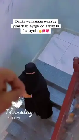 ❤️🖤@A🤍 @Ammirad qarson @♾️🦊 @زكريا 