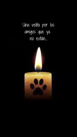 #recuerdame #vamosacerrarlacaja #volvistediferente 