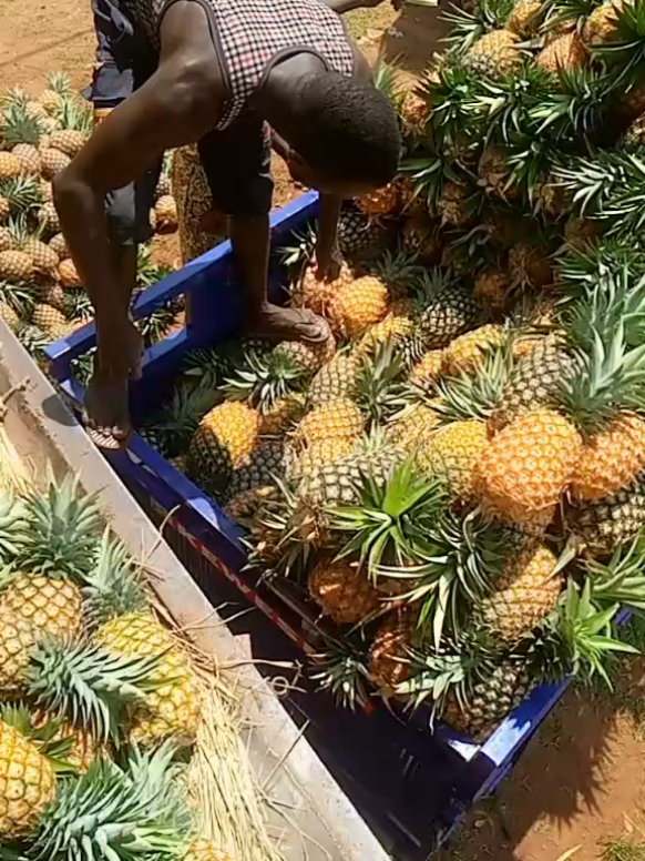 #viraltiktok #astucetiktok #debloquemesvue🥲🙏🏽 