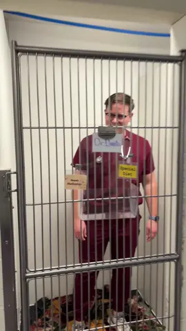 How it feels to have one (1) male doctor on staff #housecallsveterinary #veterinarymedicine #vetmed #newdoctorinitiation #drdanks 