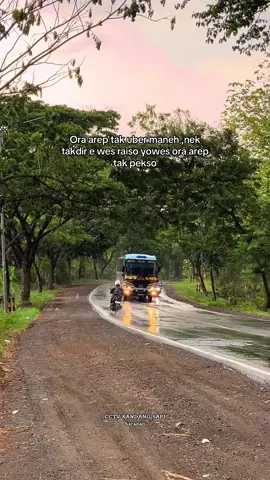 W7373#cctvbisjatimrace02 #sugengrahayu #sumbergroup #lumbalumbadarat🐬 #sumberselamat 