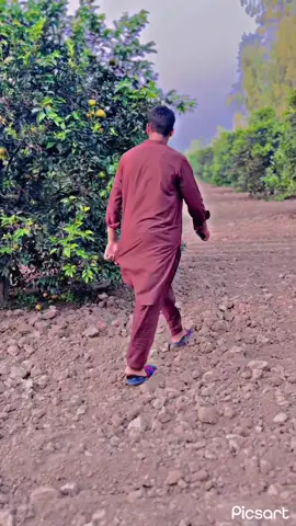 #لالے ##کا⚜️ #foryoupage #بھابرا_آلہ🥷🥷 #juttlife🔥 @Ch Usman Ali Chadhar 