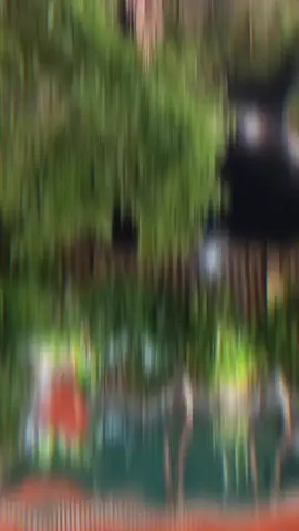 #giaitri #suhuongtiktok #TikTokAwardsVN 