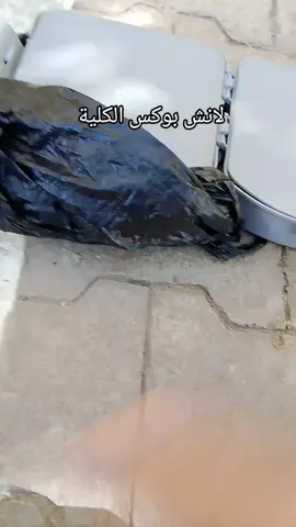 لانش بوكس الكلية #كلية_التربية #الشعب_الصيني_ماله_حل😂😂 #العراق 