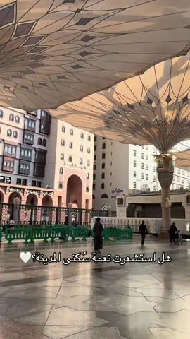 نعمه عظيمه❤️ #المدينة_المنورة #المدينه #دليلك_في_المدينة #fyp #السعوديه 