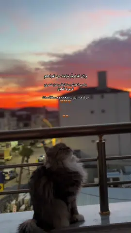 الحمدلله Om abode✨🤍