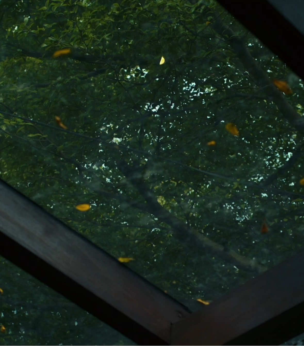 Tentang Dua Jam Itu ❤️ @CHINGOOID  Shot on Sony ZV-E10 + @TTARTISAN 35mm/f1.8 #sony #cinematic #sliceoflife #malang #storytelling 