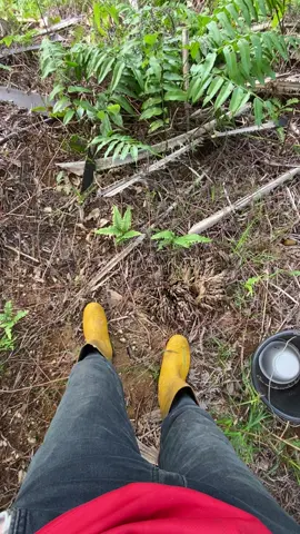 Semakin luas kebun mu,semakin basah sempak mu 😂 Salam petani sawit  #fyp  #petanisawitindonesia🇮🇩  #perintisbukanpewaris  #tokesawit 