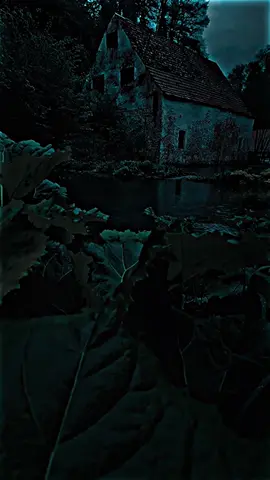 دنيا الما بيها امك ماتحس بيها الهوه#شعراء_وذواقين_الشعر_الشعبي #مجرد________ذووووووق🎶🎵💞 #المصمم_اعدام 