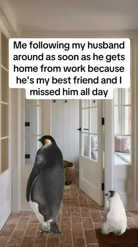 No doubt about it #marriagehumor #married #marriage #husbandwifecomedy #husbandandwife 