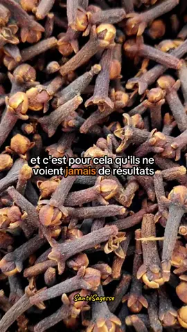 La plupart des gens boivent l’eau de clou de girofle de la mauvaise façon, et c’est pour cela qu’ils ne voient jamais de résultats. Mais si vous la prenez correctement, l’eau de clou de girofle peut littéralement transformer votre santé. Les clous de girofle sont riches en antioxydants et en puissants composés qui combattent l’inflammation, les infections et éliminent également les parasites. Boire de l’eau de clou de girofle tous les jours peut améliorer la digestion, réduire les ballonnements, équilibrer la glycémie, renforcer la santé du foie, rafraîchir l’haleine et stimuler le système immunitaire. Mais voici ce que la plupart des gens ignorent : les clous de girofle apaisent aussi le corps et réduisent le stress, en faisant un remède naturel pour un sommeil profond et réparateur. Alors, quelle est la bonne façon de la consommer ? 👉 Pour la santé générale : faites tremper quatre à cinq clous de girofle dans de l’eau tiède pendant la nuit et buvez cette eau le matin à jeun. C’est à ce moment-là que votre corps en absorbe le plus de bienfaits. Et Pour le sommeil : faites bouillir quatre à cinq clous de girofle dans une tasse d’eau pendant cinq minutes, laissez tiédir un peu, puis buvez cette eau environ 30 minutes avant de dormir. Et vous ? Dites moi comment vous la consommez avant de regarder cette vidéo et n’oubliez pas de vous abonner pour d’autres vidéos. #santé #santénaturelle #remedenaturel #astuces #clove 
