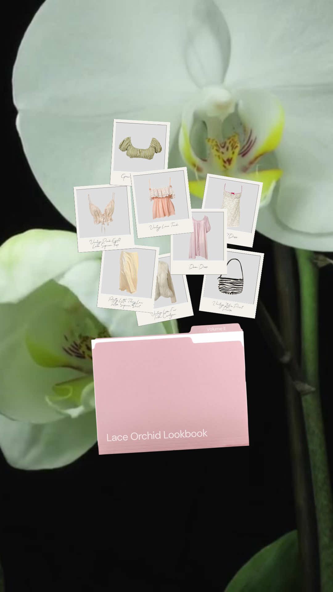 ⋆⁺｡˚⋆˙‧₊ Lace Orchid Lookbook Volume II ₊‧˙⋆˚｡⁺⋆ styling inspo for some of the new pieces available on my poshmark 🎀🫧🪷 link in my bio! features styles from @shopdoen  @urbanoutfitters  @freepeople  @susanamonaco  @_frisson_knits_  @unif  @iamgia  @prettylittlethingcs  @brandymelvilleusa  @zara  @stevemadden  @americaneagle  @madewell  @adidas  and so many vintage brands 🤍 #poshmark #poshmarkseller #secondhandfashion #thriftedfinds #vintageshopping 