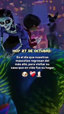 Hoy #27deoctubremascotas 