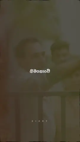 නුබ අන්සතු මලක් තමයි මට සදාකල්ම අහිමි...🤍😫#viral #trending?song🔥 #fyp #lyrics 