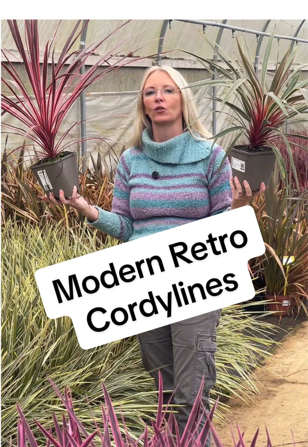 Cordylines provide structure and contrast in the garden. Leaves like no other plant. These are evergreen and low maintenance, easy to grow in pots. So for a pot plant that’s easy and evergreen, try a Cordyline. @BexEdwards - Gardening #easygarden #containergarden #tiktokmademeplantit #gardentok #gardening 