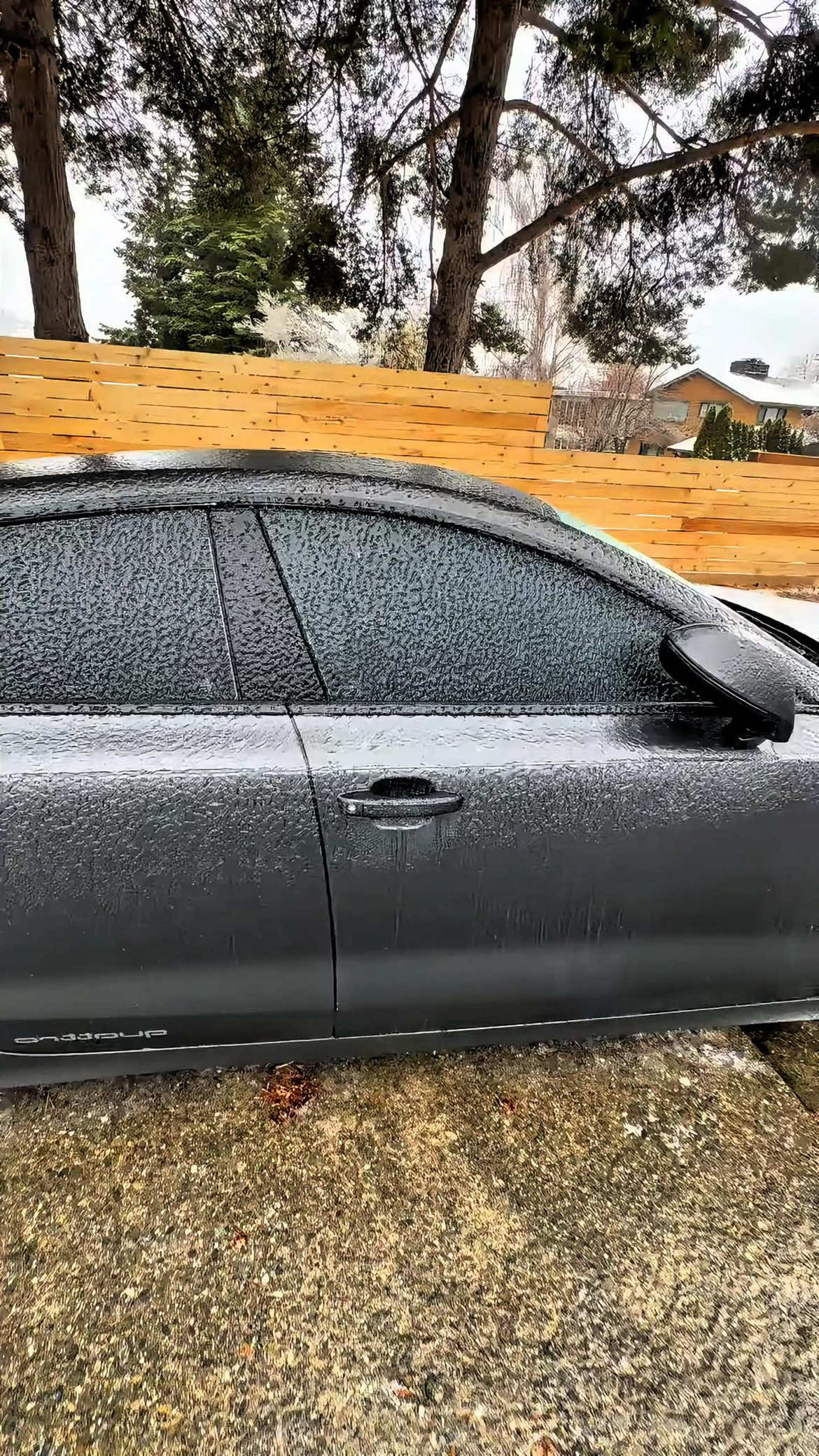 The happiness after an ice storm #satisfying #asmr #ice #fyp #oddlysatisfying 