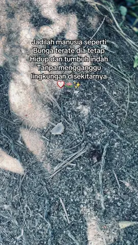 Begitu indah ajaranmu seperti indhanya lambang terate didadaku🥰 #pshtstory #terate #pshtpusatmadiun #pshtmusirawas #tubagusagung 