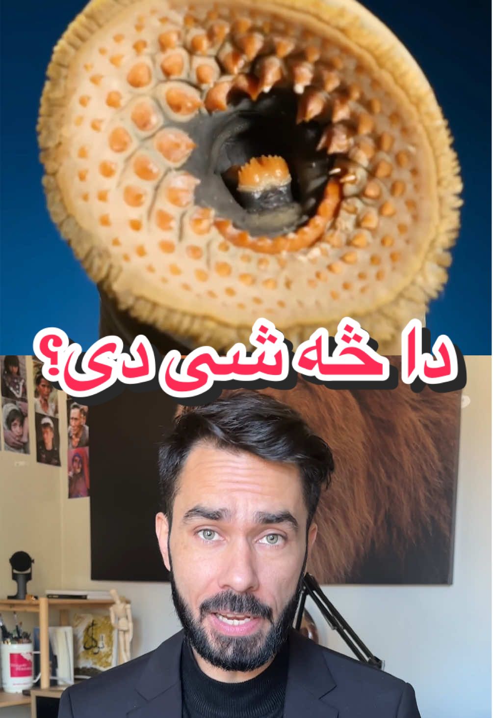 Breaking News: This fish is 👽 type and human still do their research on it. #تاجیک_هزاره_ازبک_پشتون_ترکمن🇦🇫 #khyberpakhtunkhwa #doctorshekib #FYP #BreakingNews 