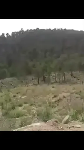 #الجيش_الوطني_التونسي🇹🇳💪 #ثق،في،نفسك،وفي،ربك #الحمدلله_دائماً_وابداً 