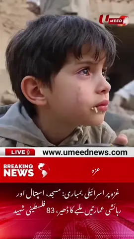 YA ALLAH. aku seorang pendosa tapi utk kali ini ku mohon angkatkan lah doa2 kami utk selamatkan kan saudara kami d palestine anak2 d gaza rahmati lah mereka YA ALLAH aamiin....🤲🏻🤲🏻🤲🏻 #fyppppppppppppppppppppppp #masukberanda #tiktokviral #viralvideo #freepalestine🇵🇸❤️ 